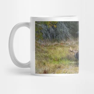 Bull Moose, Algonquin Park Mug